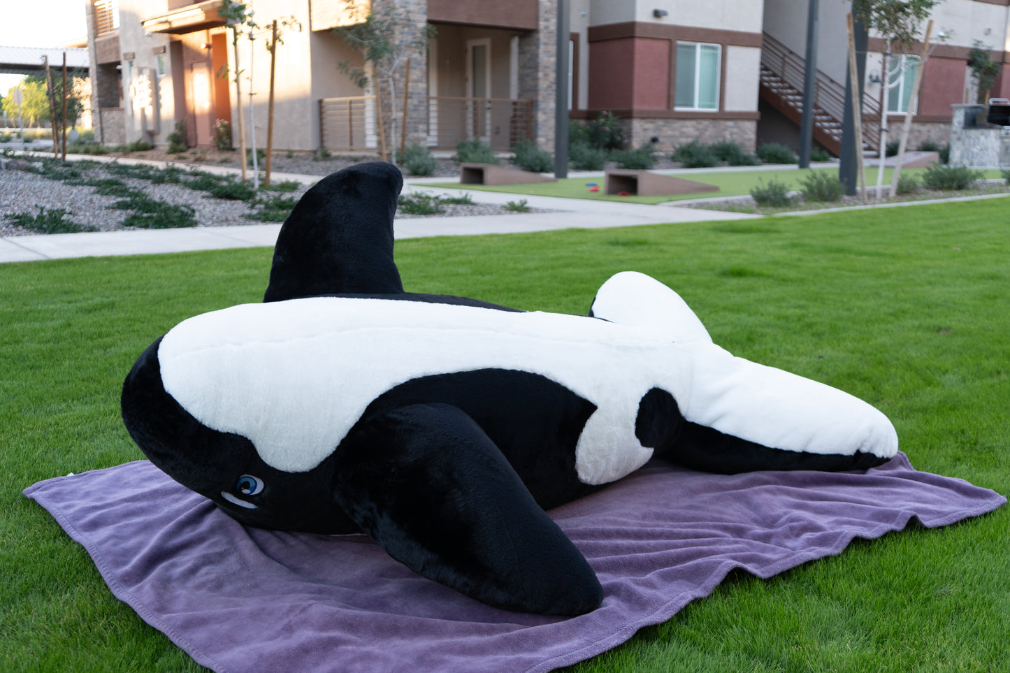 6ft Plush Orca