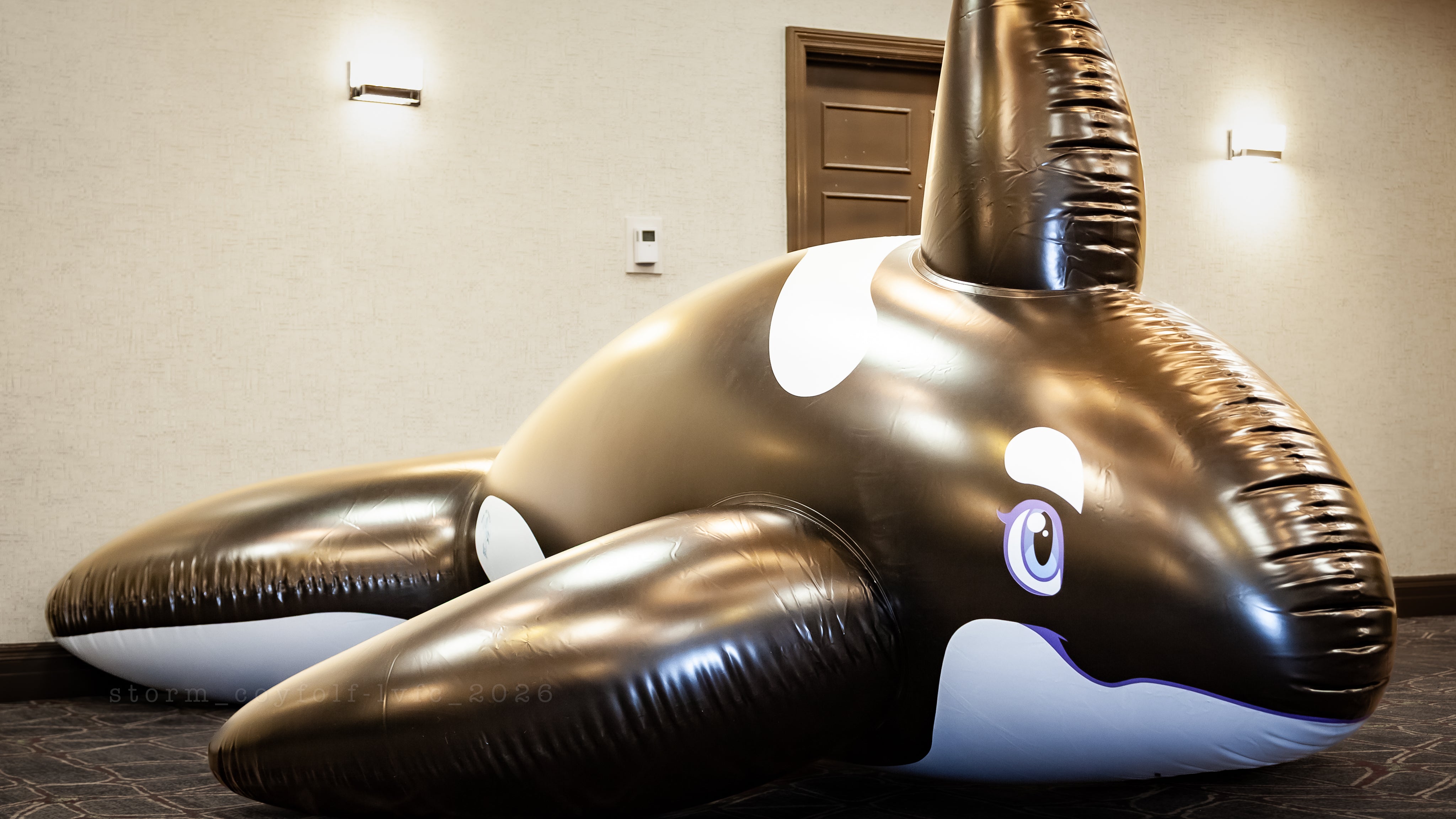 Inflatable Collection Inflatables – Pool Toy Party