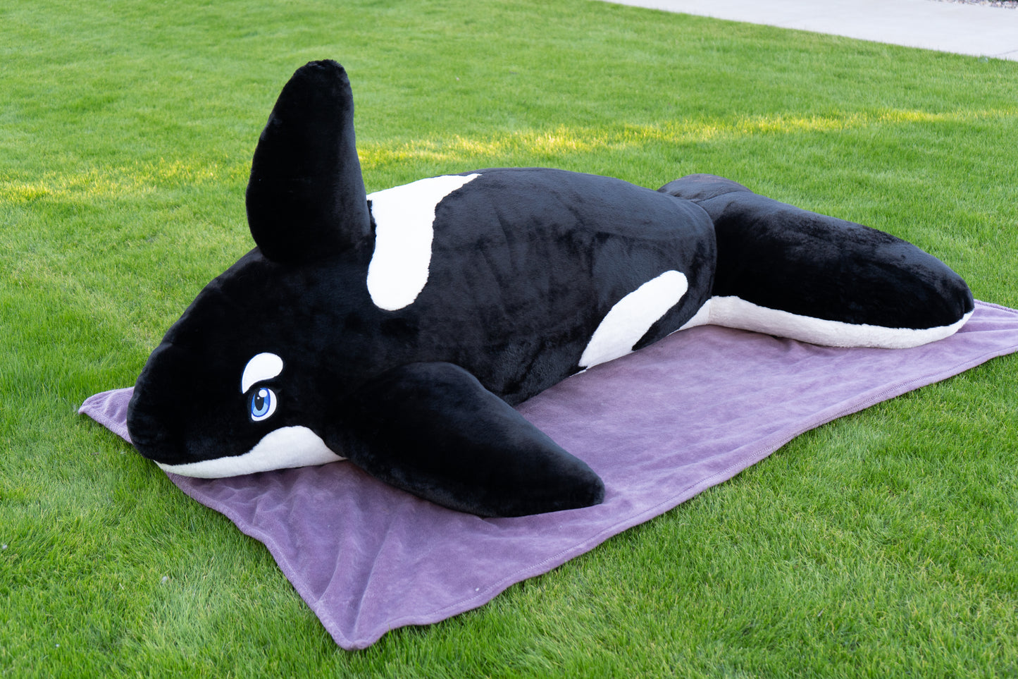 6ft Plush Orca