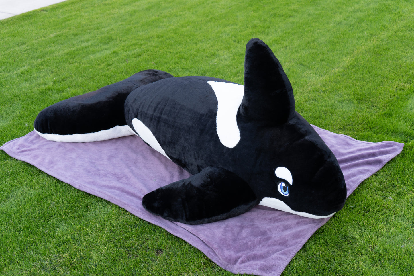 6ft Plush Orca