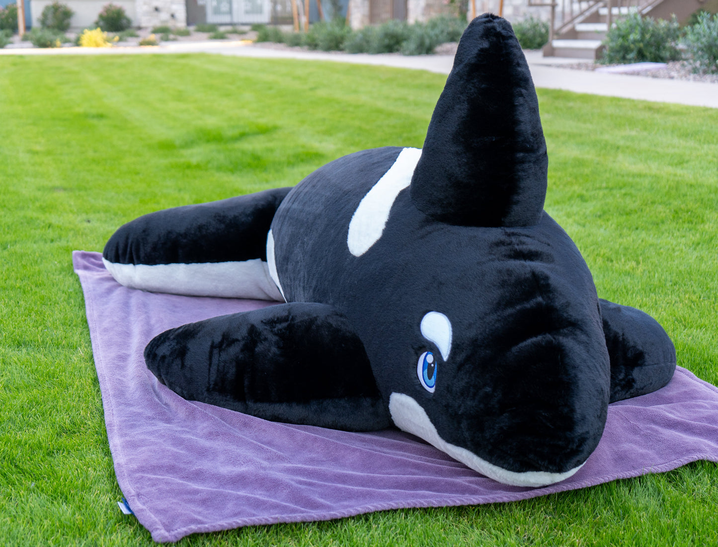 6ft Plush Orca