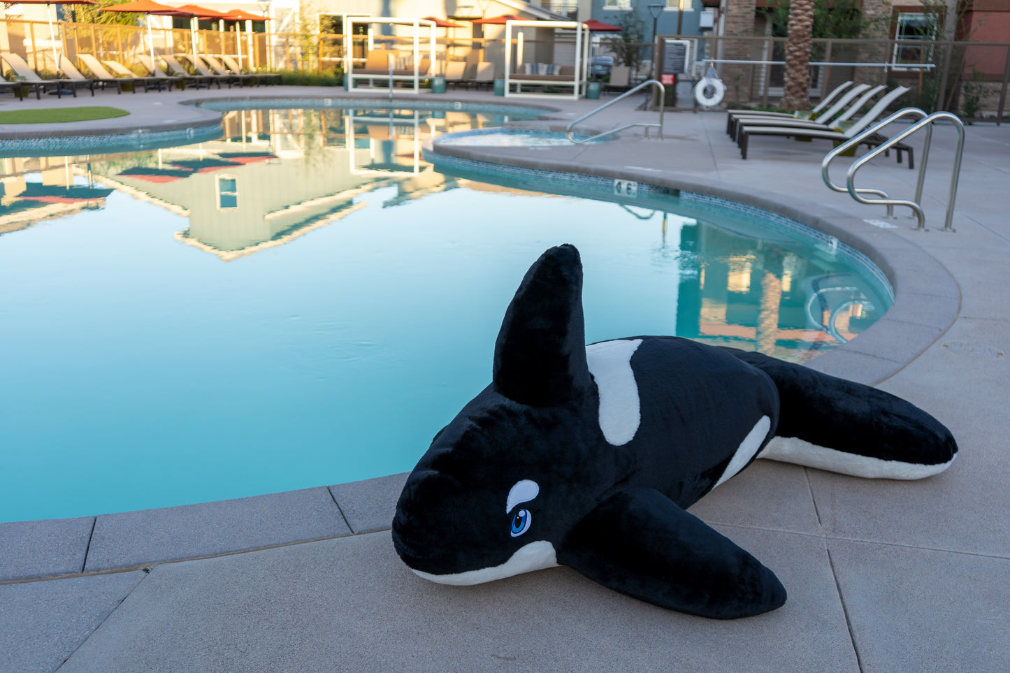 6ft Plush Orca