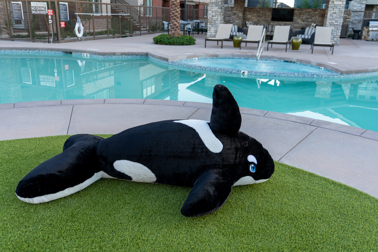 6ft Plush Orca